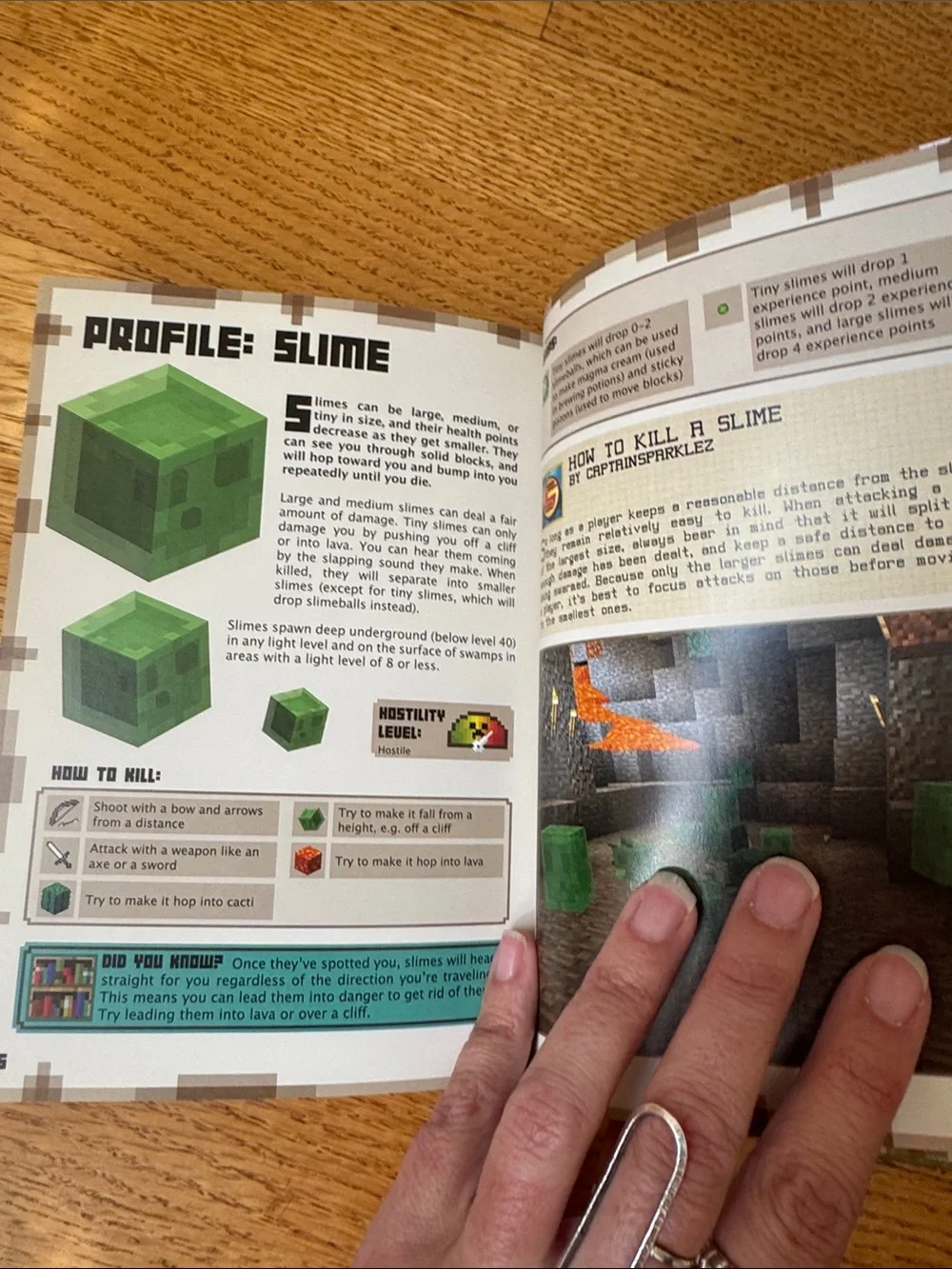 Minecraft Essential Handbook Updated Edition